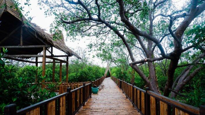 Ekowisata Mangrove Wonorejo, Salah Satu Destinasi Alam Baru di Surabaya yang Memukau